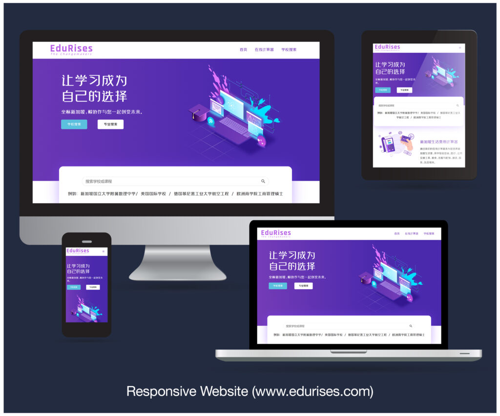 Read more about the article Responsive Website designed and developed for Edurises