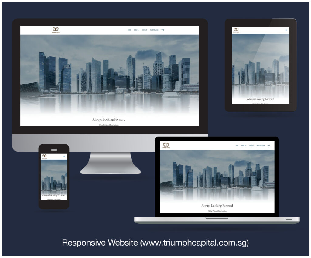 Read more about the article Responsive Website development for Triumph Capital