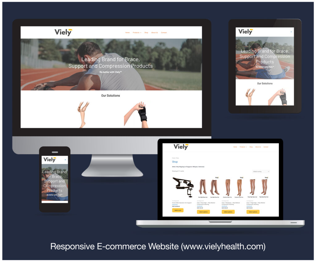 Read more about the article Responsive Website designed and developed for Viely