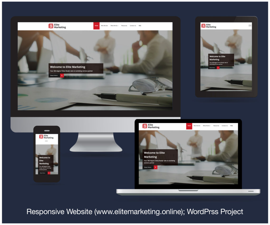 Read more about the article Responsive Website designed and developed for ELITE MARKETING